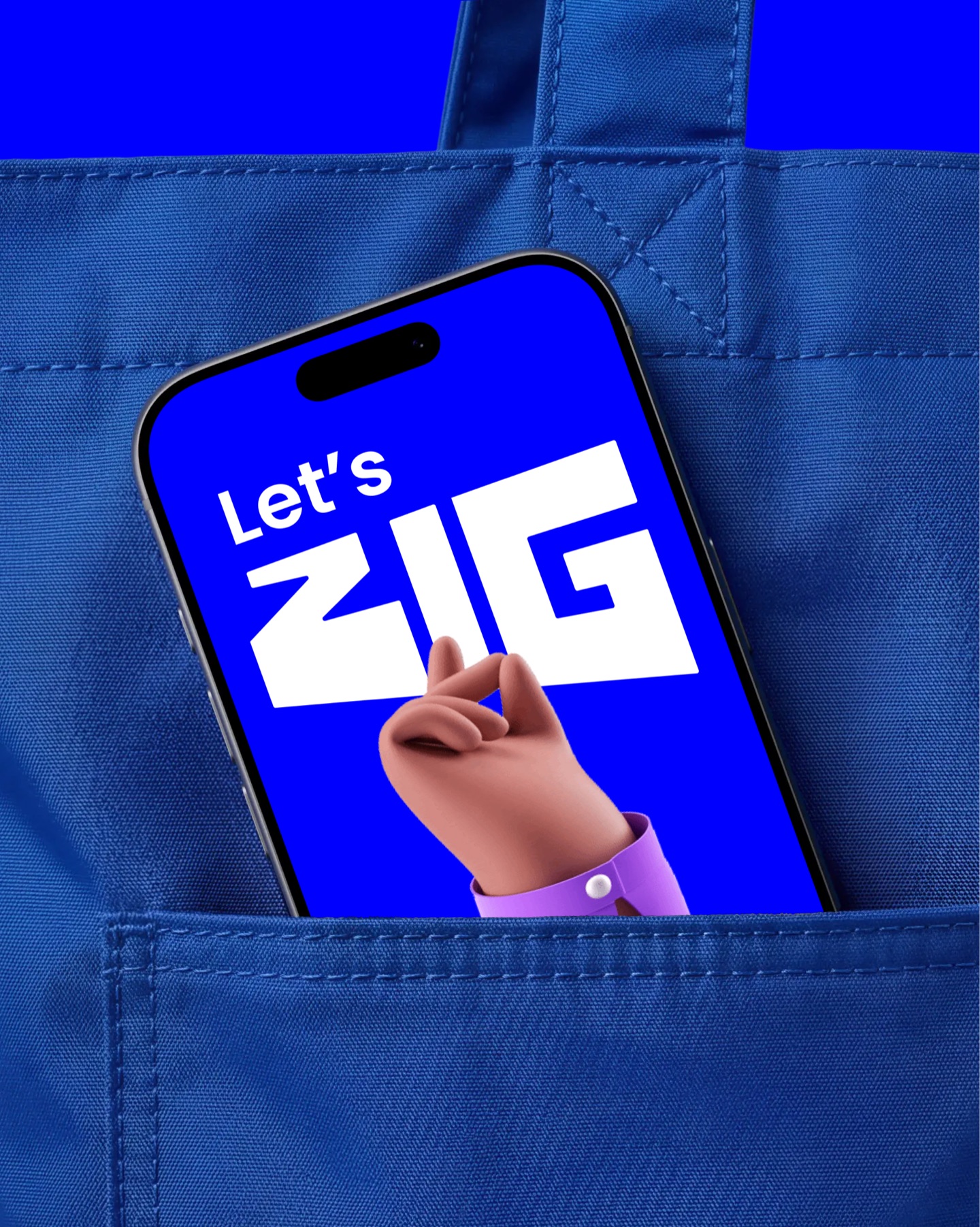 Zig project preview